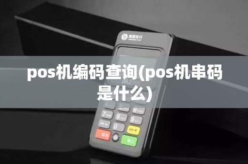 pos机编码查询(pos机串码是什么)