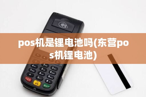 pos机是锂电池吗(东营pos机锂电池)