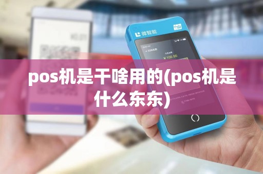 pos机是干啥用的(pos机是什么东东)