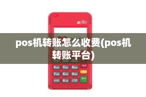 pos机转账怎么收费(pos机转账平台)