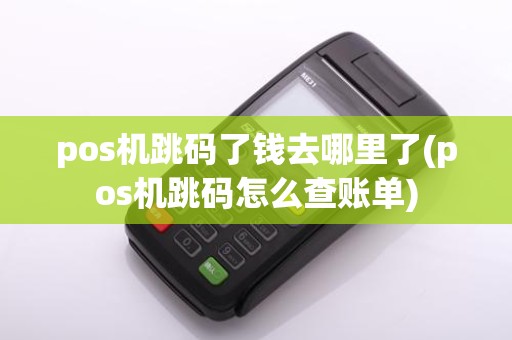 pos机跳码了钱去哪里了(pos机跳码怎么查账单)