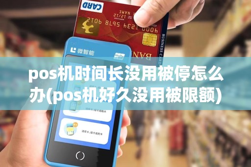 pos机时间长没用被停怎么办(pos机好久没用被限额)