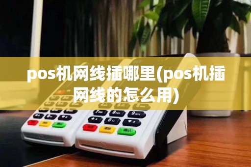 pos机网线插哪里(pos机插网线的怎么用)