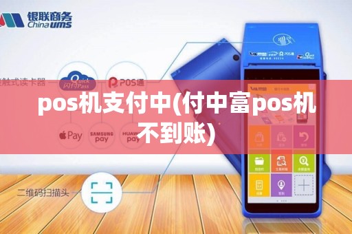 pos机支付中(付中富pos机不到账)