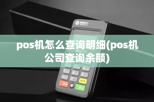 pos机怎么查询明细(pos机公司查询余额)