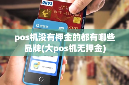 pos机没有押金的都有哪些品牌(大pos机无押金)