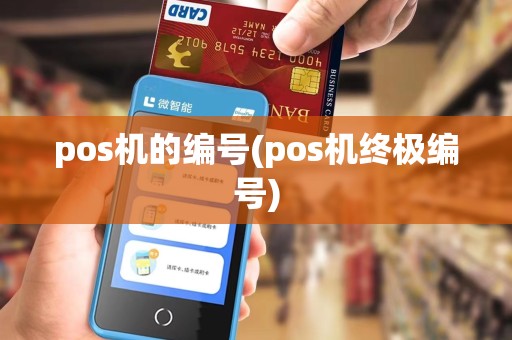 pos机的编号(pos机终极编号)
