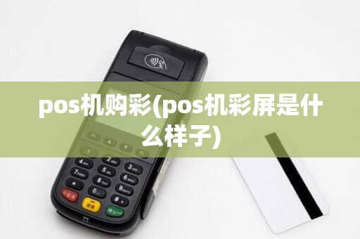 pos机购彩(pos机彩屏是什么样子)