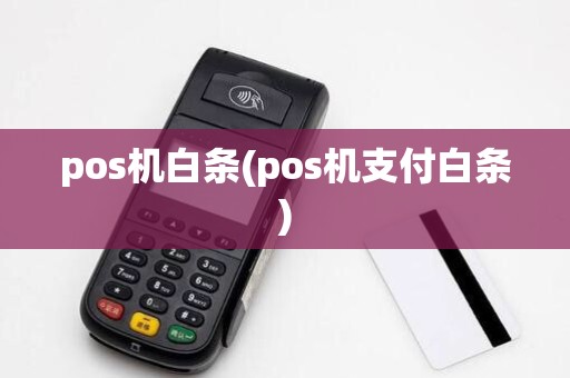 pos机白条(pos机支付白条)
