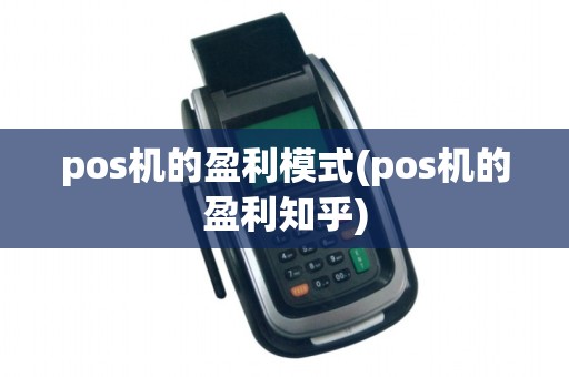 pos机的盈利模式(pos机的盈利知乎)