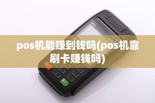 pos机能赚到钱吗(pos机靠刷卡赚钱吗)