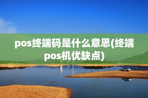 pos终端码是什么意思(终端pos机优缺点)