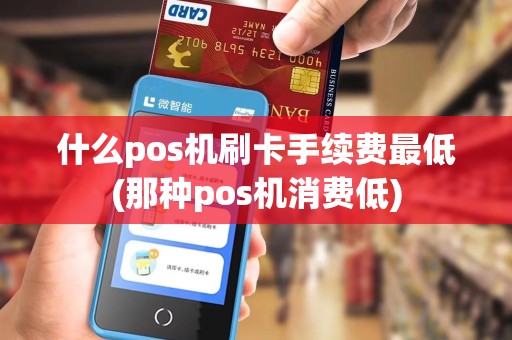 什么pos机刷卡手续费最低(那种pos机消费低)