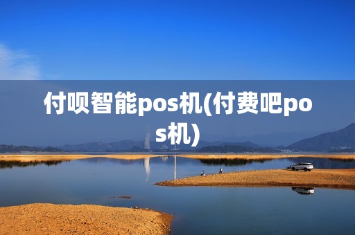 付呗智能pos机(付费吧pos机)