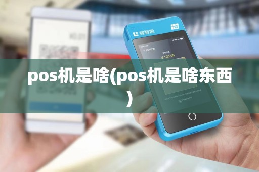 pos机是啥(pos机是啥东西)