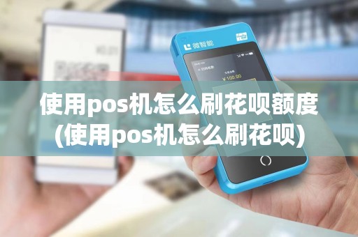 使用pos机怎么刷花呗额度(使用pos机怎么刷花呗)
