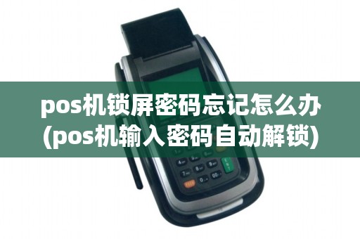 pos机锁屏密码忘记怎么办(pos机输入密码自动解锁)