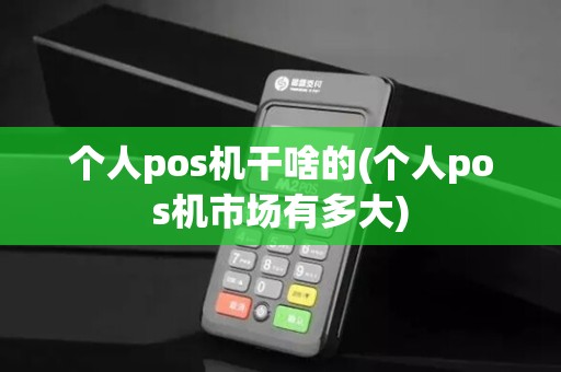 个人pos机干啥的(个人pos机市场有多大)