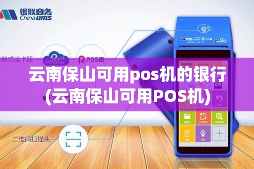 云南保山可用pos机的银行(云南保山可用POS机)