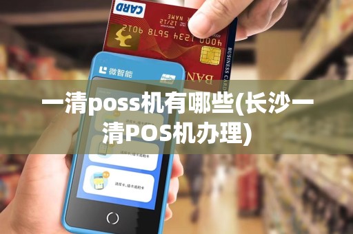 一清poss机有哪些(长沙一清POS机办理)