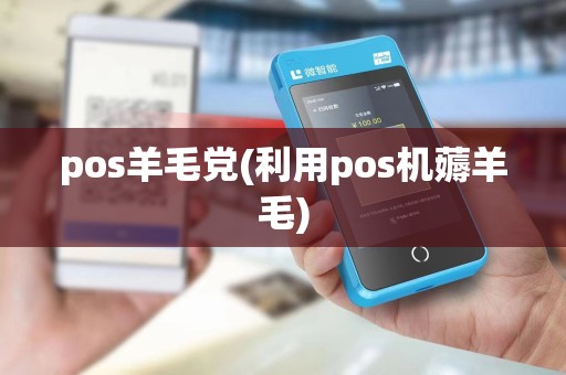 pos羊毛党(利用pos机薅羊毛)