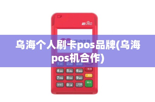 乌海个人刷卡pos品牌(乌海pos机合作)