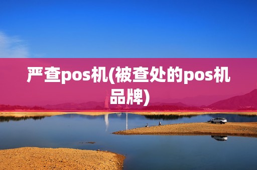 严查pos机(被查处的pos机品牌)