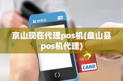 京山现在代理pos机(盘山县pos机代理)