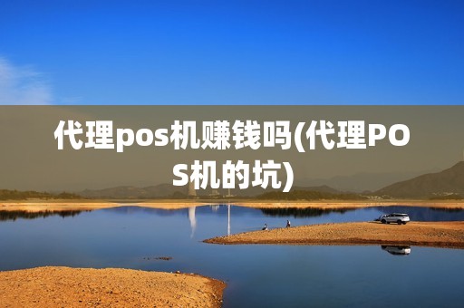 代理pos机赚钱吗(代理POS机的坑)