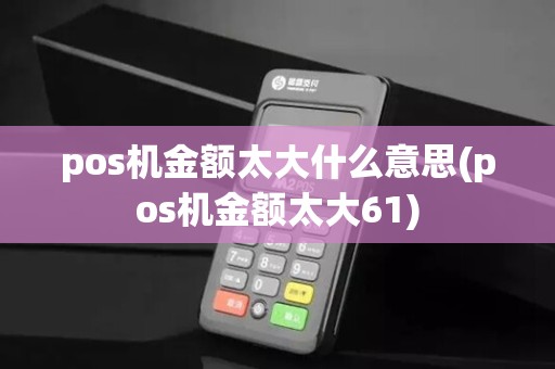 pos机金额太大什么意思(pos机金额太大61)
