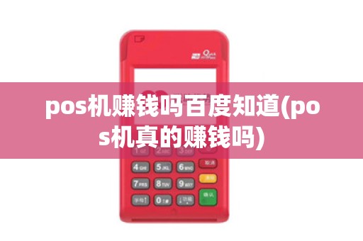 pos机赚钱吗百度知道(pos机真的赚钱吗)