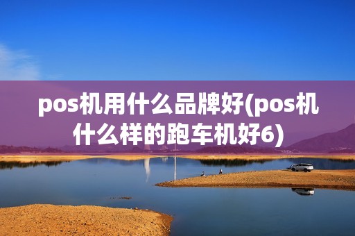pos机用什么品牌好(pos机什么样的跑车机好6)
