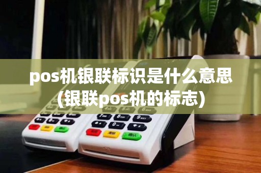 pos机银联标识是什么意思(银联pos机的标志)