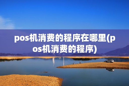 pos机消费的程序在哪里(pos机消费的程序)