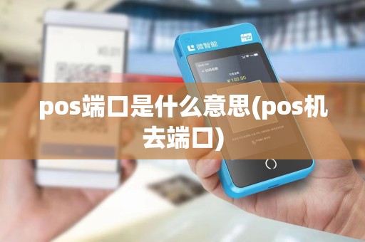 pos端口是什么意思(pos机去端口)