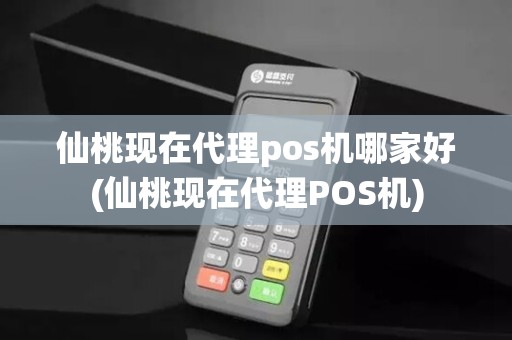 仙桃现在代理pos机哪家好(仙桃现在代理POS机)