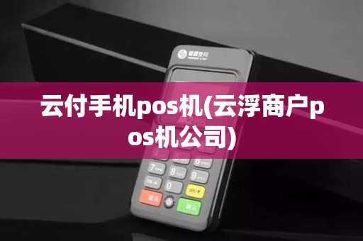 云付手机pos机(云浮商户pos机公司)