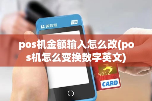pos机金额输入怎么改(pos机怎么变换数字英文)