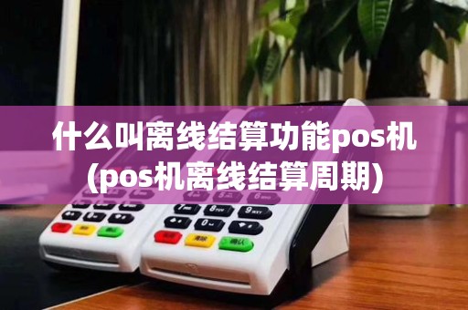 什么叫离线结算功能pos机(pos机离线结算周期)