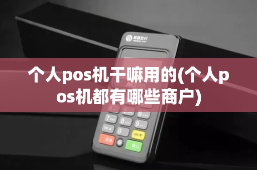 个人pos机干嘛用的(个人pos机都有哪些商户)