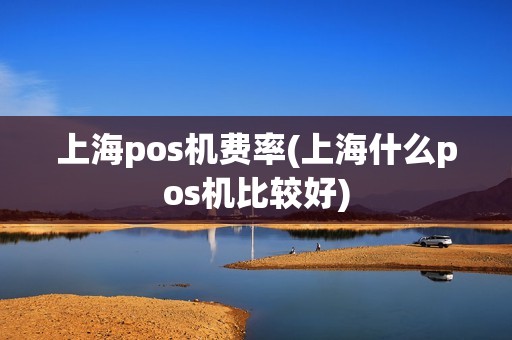 上海pos机费率(上海什么pos机比较好)