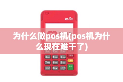为什么做pos机(pos机为什么现在难干了)