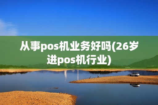 从事pos机业务好吗(26岁进pos机行业)
