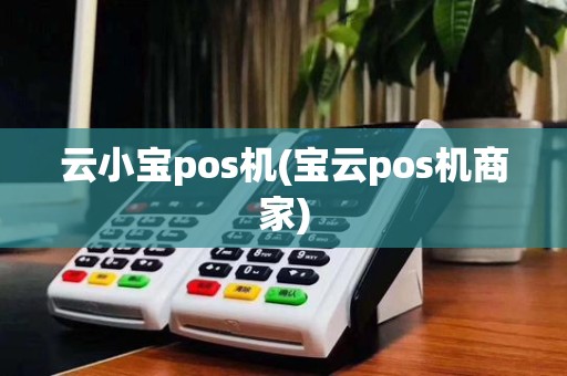 云小宝pos机(宝云pos机商家)