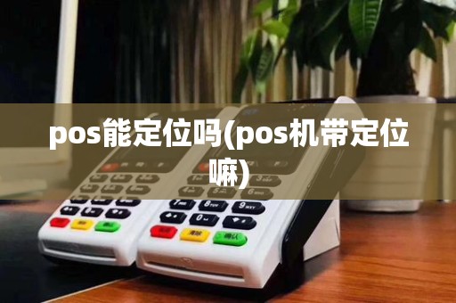 pos能定位吗(pos机带定位嘛)
