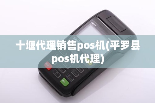 十堰代理销售pos机(平罗县pos机代理)