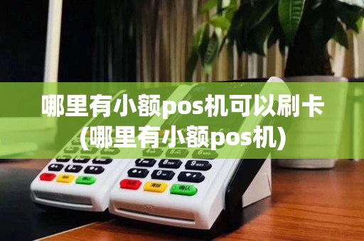 哪里有小额pos机可以刷卡(哪里有小额pos机)