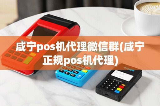 咸宁pos机代理微信群(咸宁正规pos机代理)