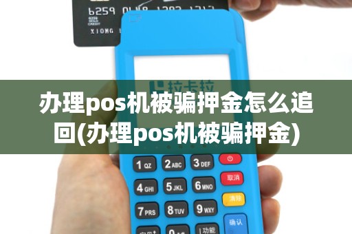 办理pos机被骗押金怎么追回(办理pos机被骗押金)