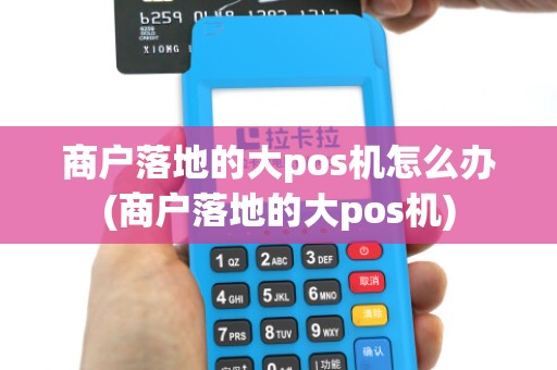 商户落地的大pos机怎么办(商户落地的大pos机)